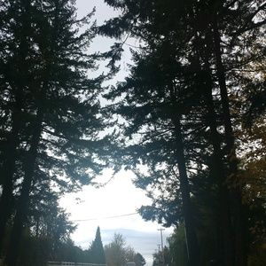 Meet your Posher, Arlena